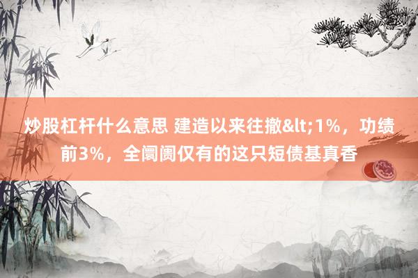 炒股杠杆什么意思 建造以来往撤&lt;1%，功绩前3%，全阛阓仅有的这只短债基真香